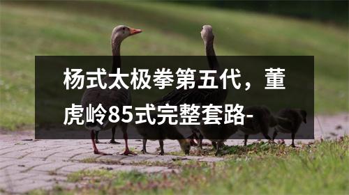 杨式太极拳第五代，董虎岭85式完整套路-