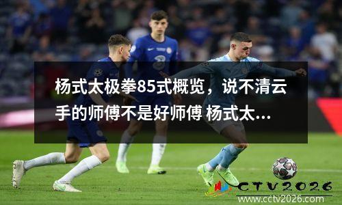 杨式太极拳85式概览，说不清云手的师傅不是好师傅 杨式太极拳85式演练视频