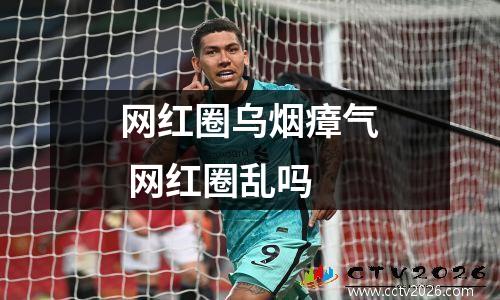 网红圈乌烟瘴气 网红圈乱吗