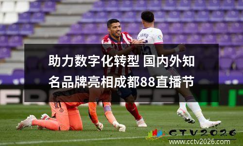 助力数字化转型 国内外知名品牌亮相成都88直播节