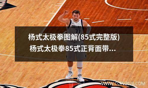 杨式太极拳图解(85式完整版) 杨式太极拳85式正背面带口令演示