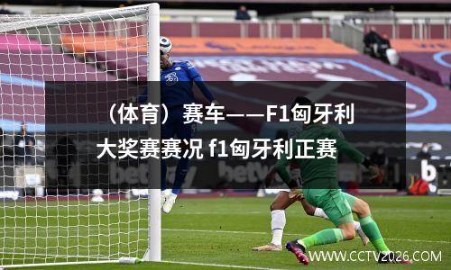 （体育）赛车——F1匈牙利大奖赛赛况 f1匈牙利正赛