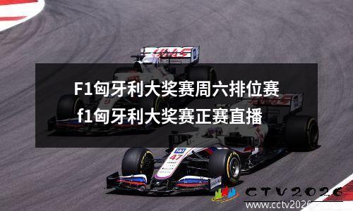 F1匈牙利大奖赛周六排位赛 f1匈牙利大奖赛正赛直播