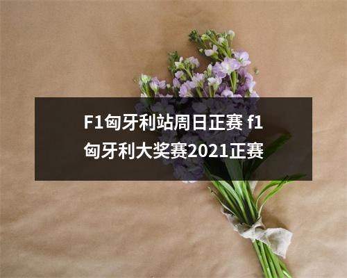 F1匈牙利站周日正赛 f1匈牙利大奖赛2021正赛