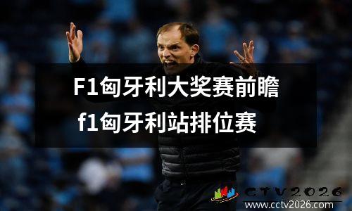 F1匈牙利大奖赛前瞻 f1匈牙利站排位赛