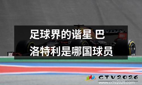 足球界的谐星 巴洛特利是哪国球员