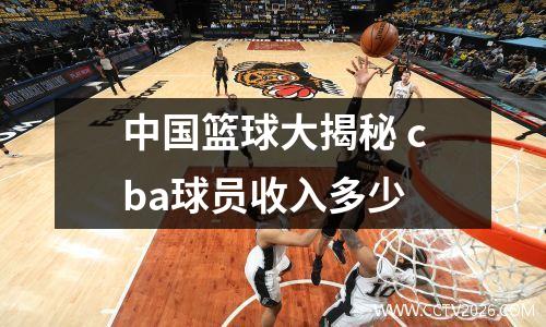 中国篮球大揭秘 cba球员收入多少