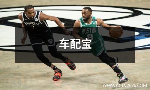 车配宝