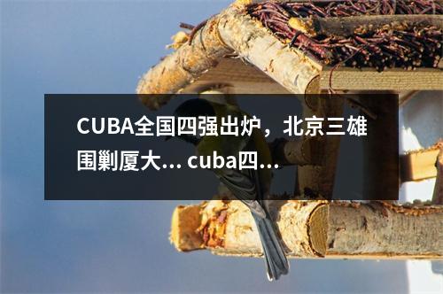 CUBA全国四强出炉，北京三雄围剿厦大... cuba四强赛
