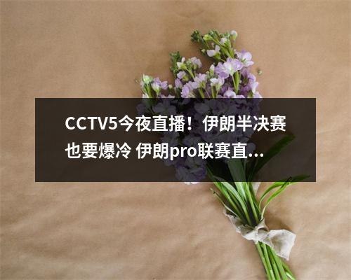 CCTV5今夜直播！伊朗半决赛也要爆冷 伊朗pro联赛直播