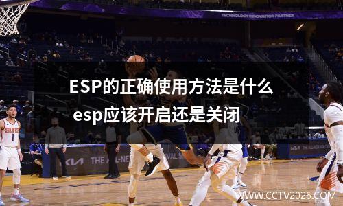 ESP的正确使用方法是什么 esp应该开启还是关闭
