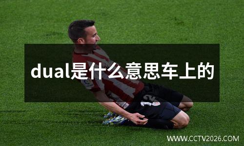 dual是什么意思车上的