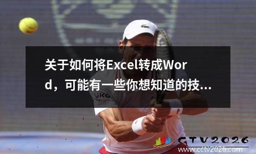 关于如何将Excel转成Word，可能有一些你想知道的技巧 如何将excel转成word格式