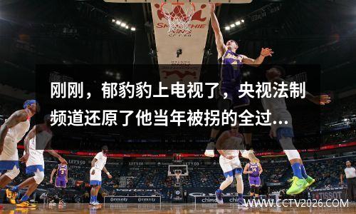 刚刚，郁豹豹上电视了，央视法制频道还原了他当年被拐的全过程