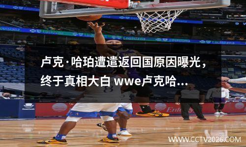 卢克·哈珀遭遣返回国原因曝光，终于真相大白 wwe卢克哈珀击败过哪些对手