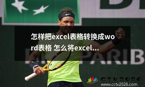 怎样把excel表格转换成word表格 怎么将excel表格转换成word表格