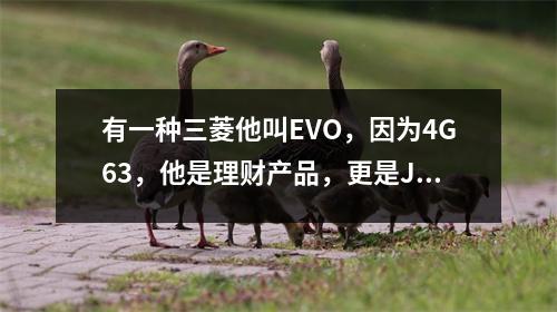 有一种三菱他叫EVO，因为4G63，他是理财产品，更是JDM里的街霸 三菱evo百度百科