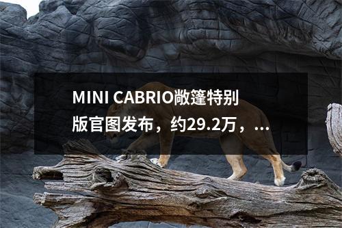 MINI CABRIO敞篷特别版官图发布，约29.2万，明年3月就交付 mini cooper s敞篷版报价