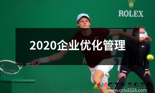 2020企业优化管理
