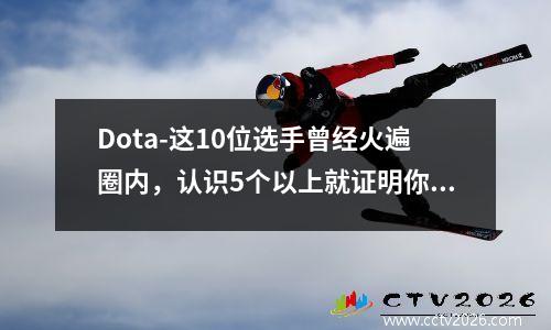 Dota-这10位选手曾经火遍圈内，认识5个以上就证明你已经老了 dota出名选手