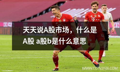 天天说A股市场，什么是A股 a股b是什么意思
