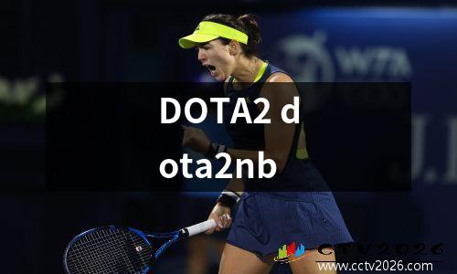 DOTA2 dota2nb