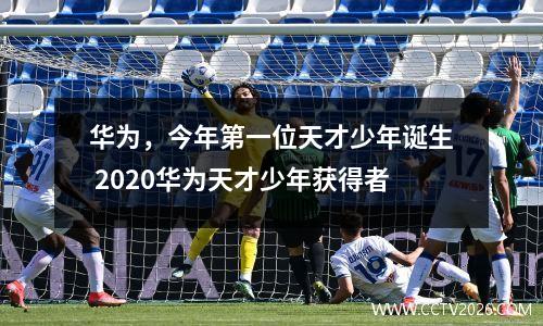 华为，今年第一位天才少年诞生 2020华为天才少年获得者