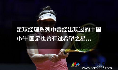 足球经理系列中曾经出现过的中国小牛 国足也曾有过希望之星 足球经理2011中小球队买的人