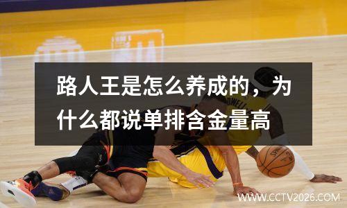 路人王是怎么养成的，为什么都说单排含金量高