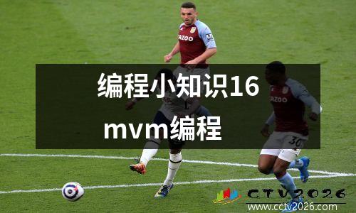 编程小知识16 mvm编程