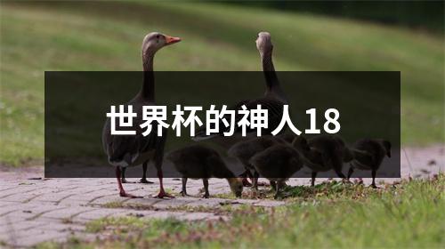 世界杯的神人18