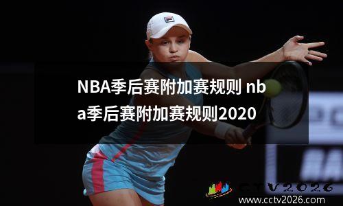 NBA季后赛附加赛规则 nba季后赛附加赛规则2020