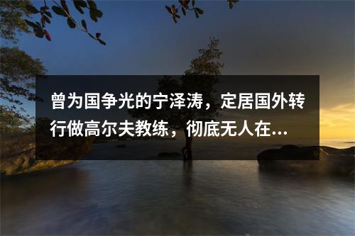 曾为国争光的宁泽涛，定居国外转行做高尔夫教练，彻底无人在意了