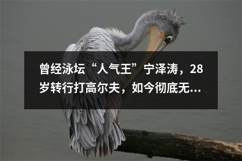 曾经泳坛“人气王”宁泽涛，28岁转行打高尔夫，如今彻底无人在意