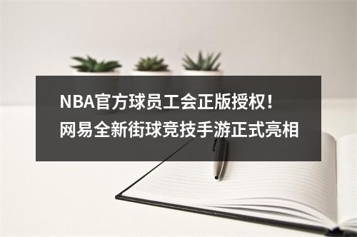 NBA官方球员工会正版授权！网易全新街球竞技手游正式亮相