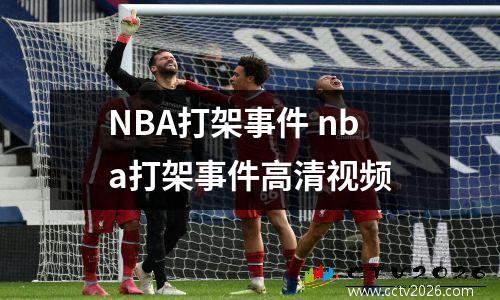 NBA打架事件 nba打架事件高清视频