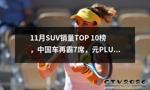 11月SUV销量TOP 10榜，中国车再霸7席，元PLUS痛失销冠