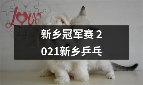 新乡冠军赛 2021新乡乒乓
