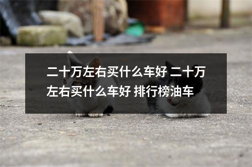 二十万左右买什么车好 二十万左右买什么车好 排行榜油车