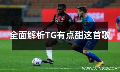 全面解析TG有点甜这首歌