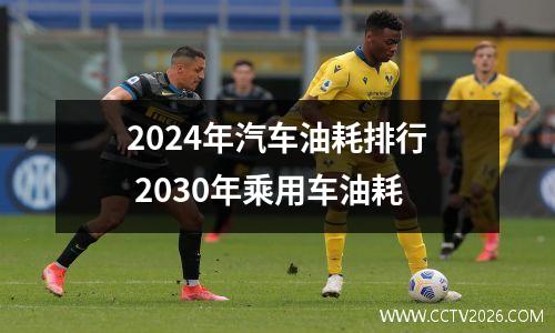2024年汽车油耗排行 2030年乘用车油耗