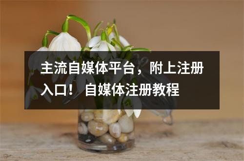 主流自媒体平台，附上注册入口！ 自媒体注册教程
