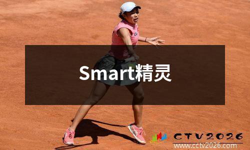 Smart精灵