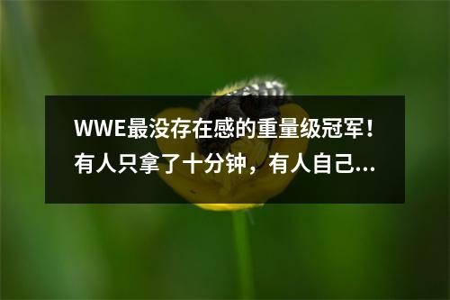 WWE最没存在感的重量级冠军！有人只拿了十分钟，有人自己作死 wwe重量级拳手
