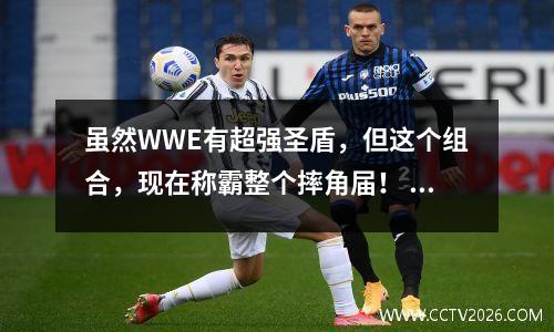 虽然WWE有超强圣盾，但这个组合，现在称霸整个摔角届！ wwe圣盾谁是老大