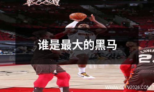 谁是最大的黑马