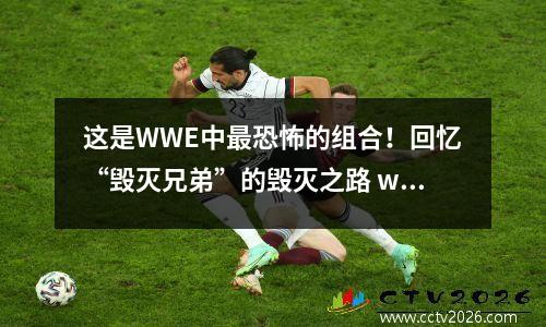 这是WWE中最恐怖的组合！回忆“毁灭兄弟”的毁灭之路 wwe毁灭兄弟vs怀亚特家族