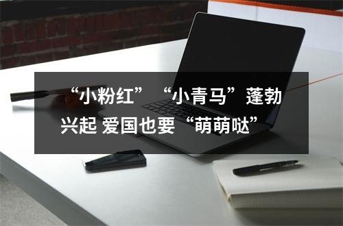 “小粉红”“小青马”蓬勃兴起 爱国也要“萌萌哒”