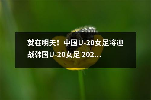 就在明天！中国U-20女足将迎战韩国U-20女足 2020中国女足和韩国女足比赛录像
