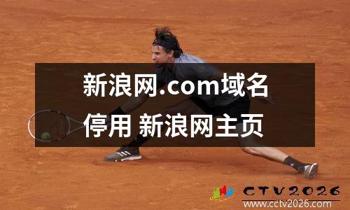 新浪网.com域名停用 新浪网主页